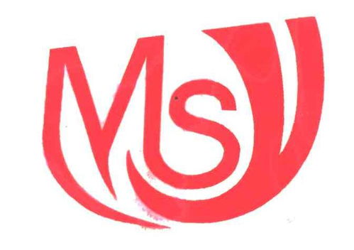 MSY商標注冊查詢與成功率分析指南